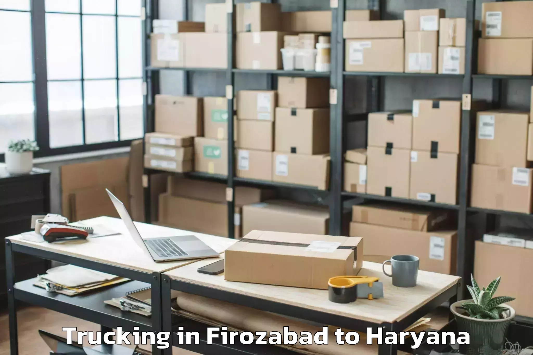 Book Firozabad to Karnal Trucking Online